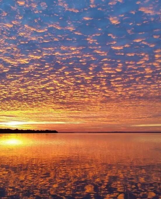 Paradise On Lake Harris Apt #202 Leesburg Luaran gambar
